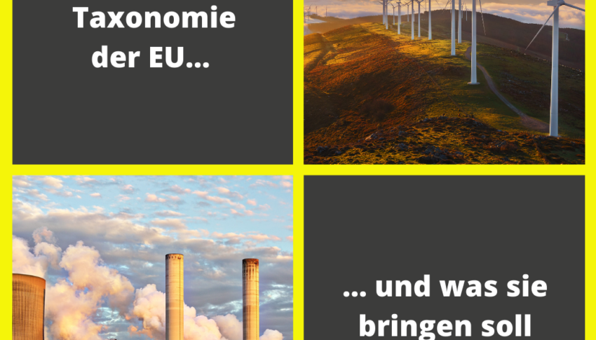 Die Grüne Taxonomie der EU und was sie bringen soll